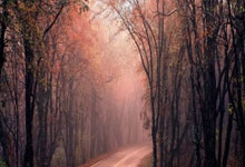 1对1｜男女篮同台比拼或可以实现？“女库里”约内斯库期待打破界限.